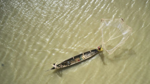 Accord sur la pêche: l'OMC promet des millions aux pays en développement