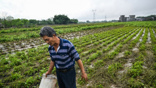 In south China, silkworm farmers reel from deadly floods