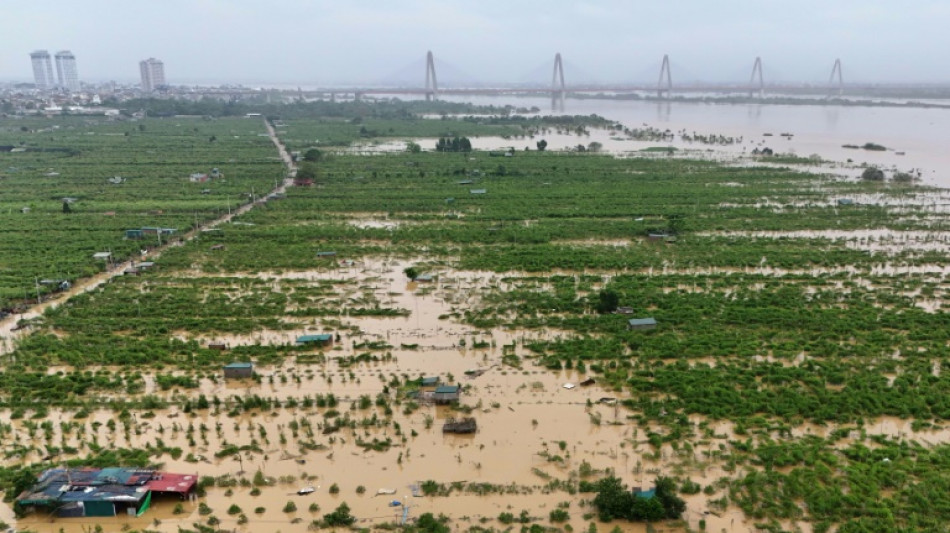 Vietnam farmers lose their blooms as floods claim crops