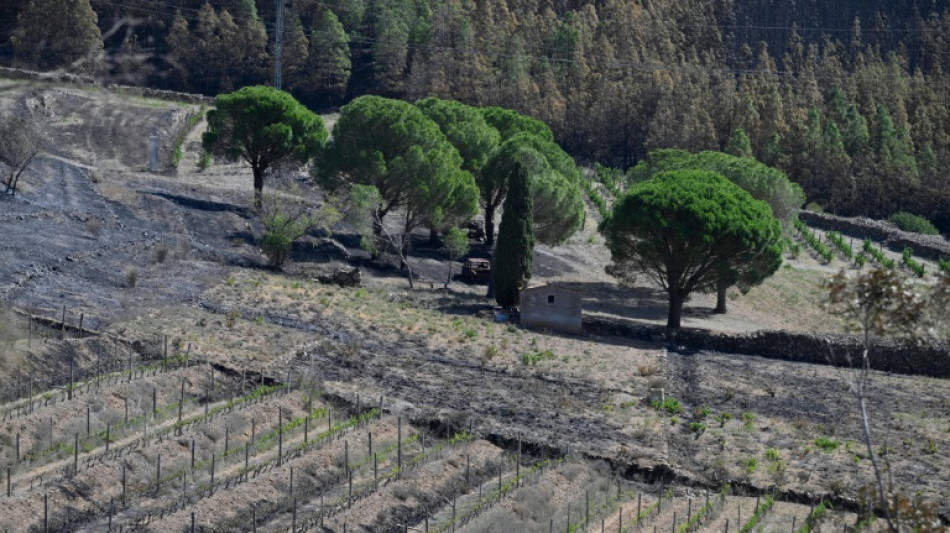 Bomberos españoles controlan  incendios en Cataluña y Andalucía