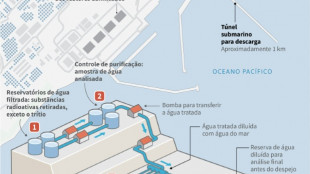 Primeiros despejos de água de Fukushima não são nocivos, afirma AIEA