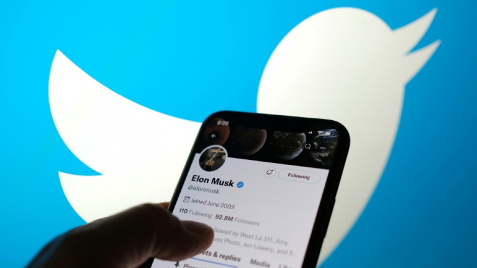 Twitter asegura que analistas de Musk no tienen pruebas de cuentas falsas