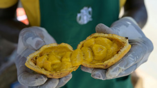 Senegalese go wild for prized 'maad' fruit