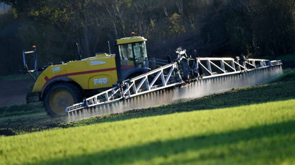 Microplásticos, omnipresentes en suelos destinados a la agricultura en Francia