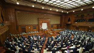 Japón vota por senadores a la sombra del asesinato de Abe