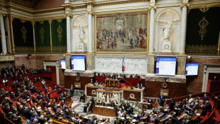 L'Assemblée rejette le projet de budget 2025, le gouvernement se tourne vers le Sénat