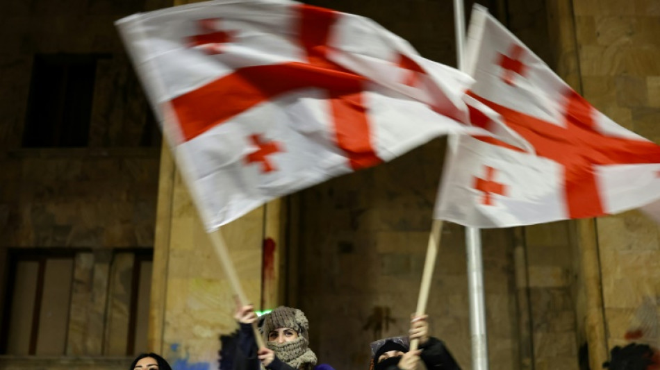 Tausende gehen in Georgien erneut gegen die Regierung auf die Straße