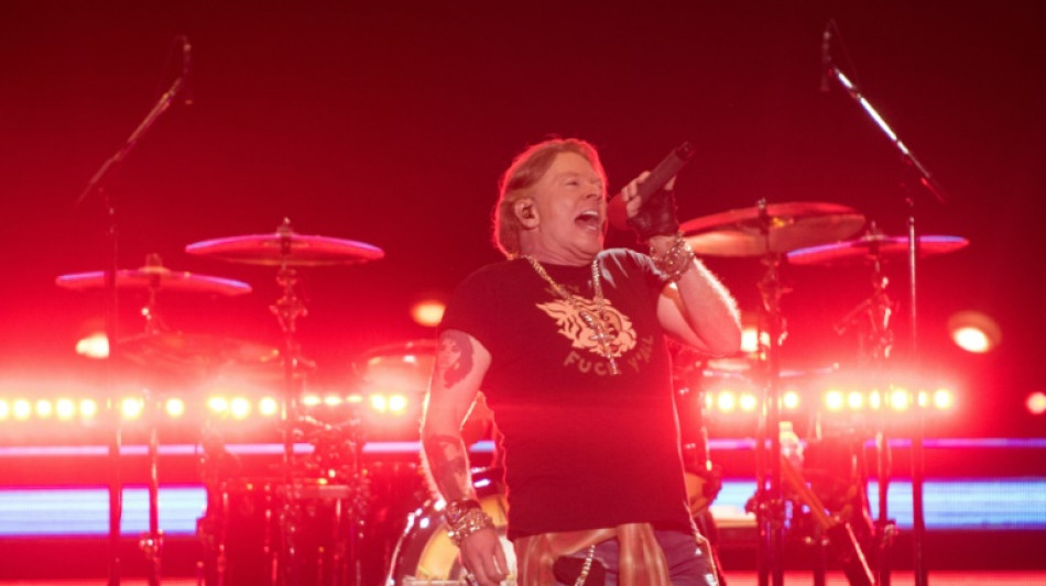 Guns N' Roses sues online gun shop for appropriating name