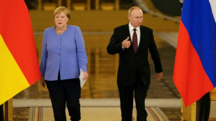 Merkel scheiterte mit Initiative für Sicherheitsgespräche mit Putin