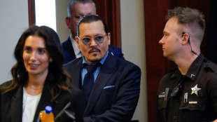 Johnny Depp lawyer urges jury to give him his 'life back'