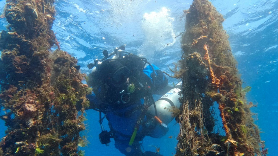 Buzos extraen "redes fantasma" de las profundidades de Santorini 