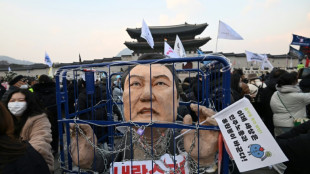 South Korean opposition postpones decision to impeach acting president 