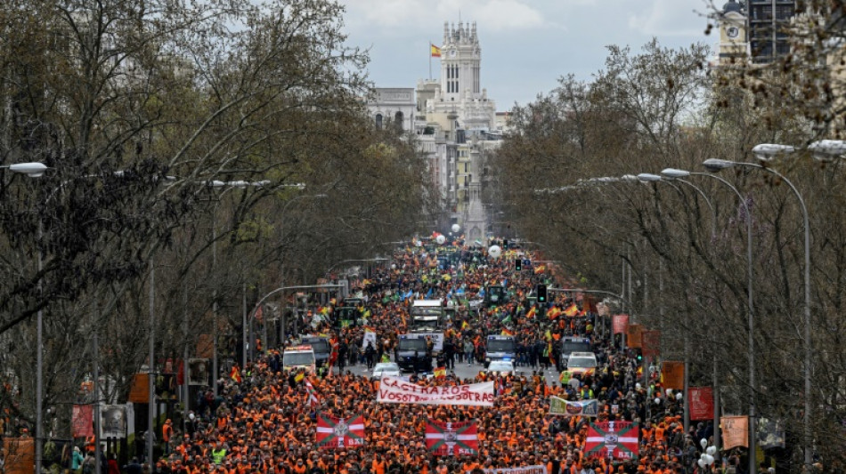 Spain hit by yet another mass protest over rising prices