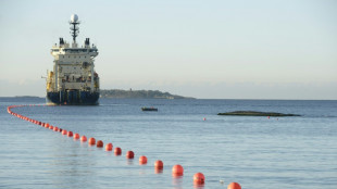 Schäden an Unterwasser-Kabeln in der Ostsee wecken Verdacht auf Sabotage