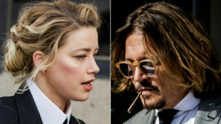 Johnny Depp vs Amber Heard: supporting cast steals the limelight