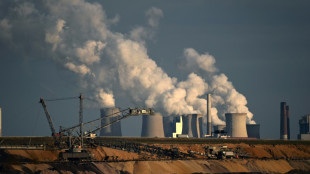 Dutch join Germany, Austria, in reverting to coal