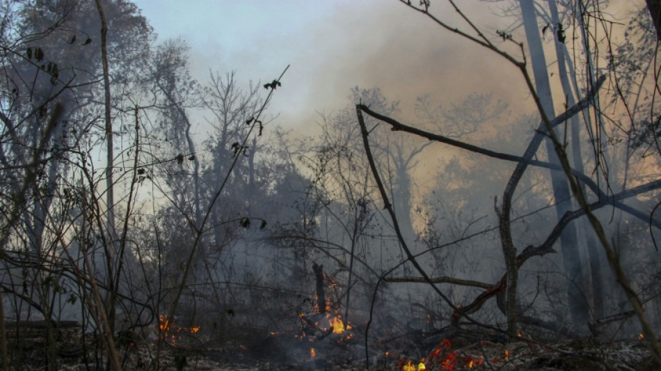 Los incendios no dan tregua en Brasil 