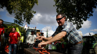 Barbecue-bashing French green MP stirs up carnivores