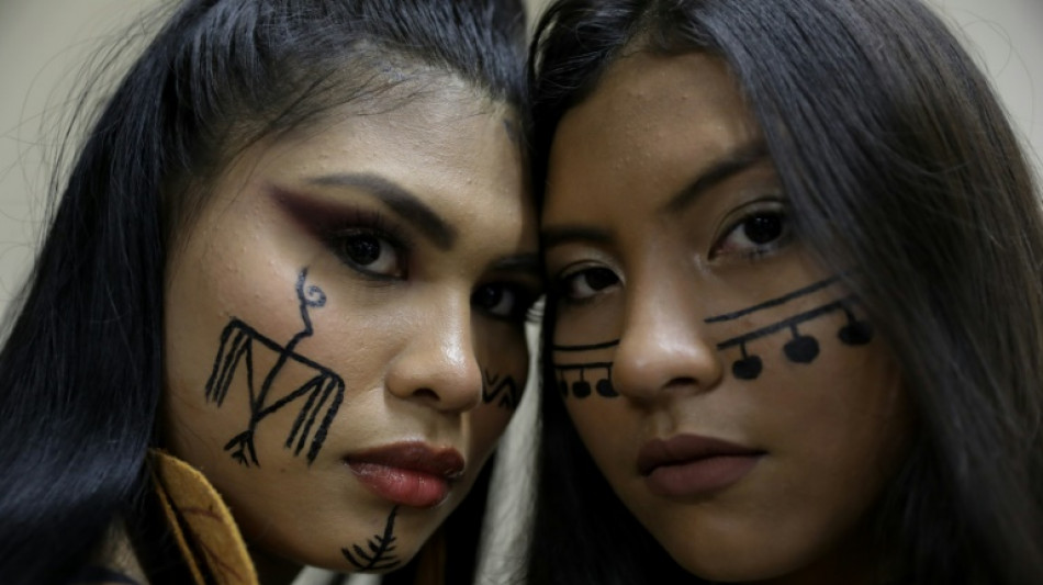 Brazil's first indigenous fashion show 'a form of resistance' 