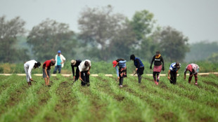 Bukele ratifica la ley que suspende los aranceles de más de 110 productos en El Salvador