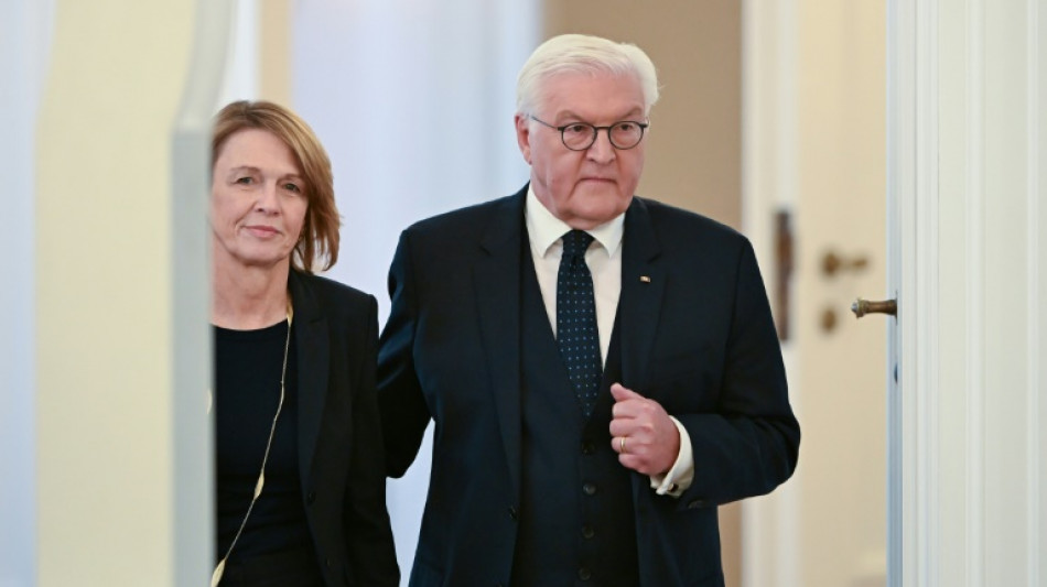 Steinmeier spricht mit Merz und Mützenich - und mahnt raschen Neuwahl-Fahrplan an