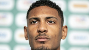 Medien: Haller-Transfer zum BVB vor dem Abschluss