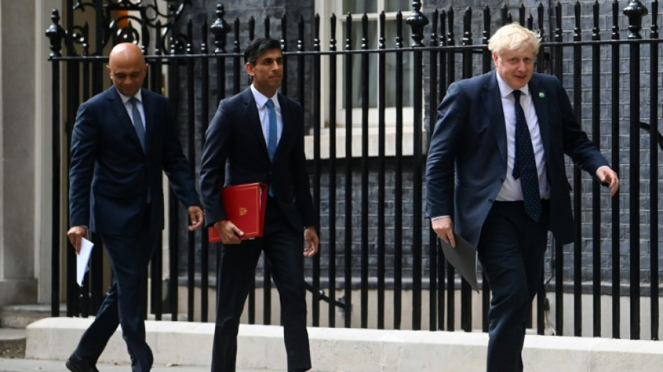 Sunak and Javid: big hitters who quit UK government