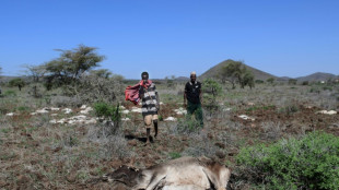 Livelihoods lost as climate disaster woes mount in Kenya