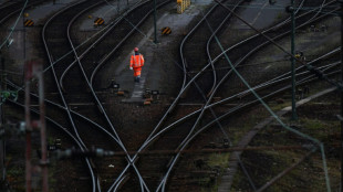 Bundesregierung räumt Kohle- und Öltransporten Vorrang auf der Schiene ein