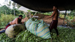 Mercado da cocaína está em crise na Colômbia