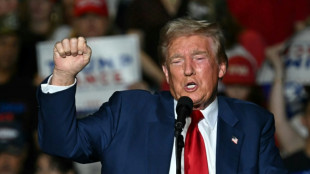 Trump blames Biden and Harris 'rhetoric' for assassination bids