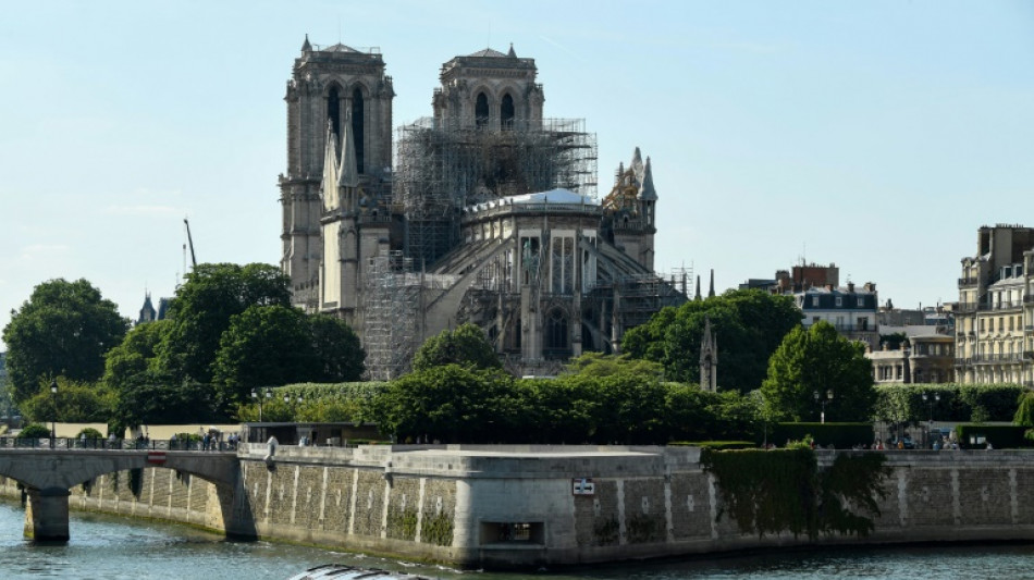 Los futuros jardines de Notre Dame siembran la discordia en París