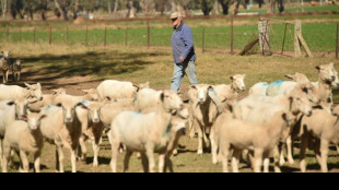 Colapsa el acuerdo de libre comercio entre Australia y la UE