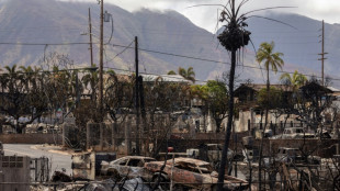 Balance de desaparecidos en incendio de Maui cae a 66