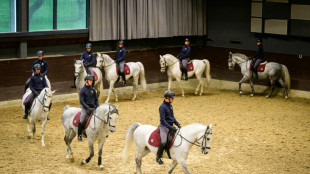 En Slovénie, les chevaux Lipizzan virevoltent pour l'Unesco