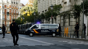 Arrestan en Madrid a dos hermanos venezolanos que causaron "gran alarma social"