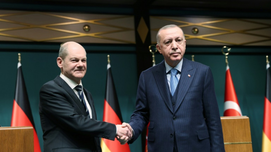 Germany, Turkey call for immediate ceasefire in Ukraine