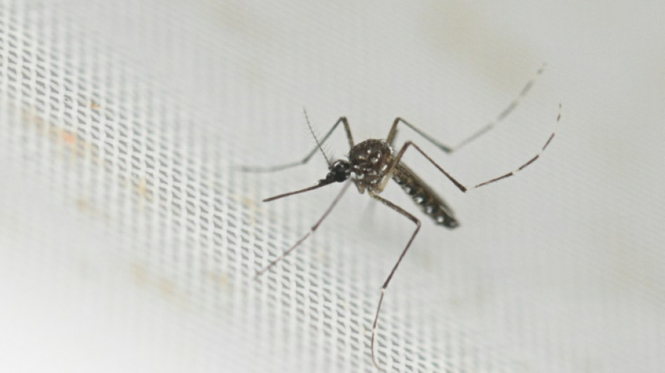 Un mosquito utiliza el infrarrojo para detectar objetivos humanos