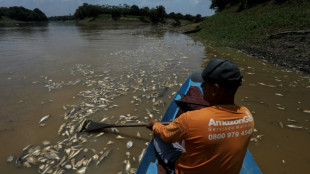 El gobierno brasileño envía ayuda humanitaria a Amazonas ante la sequía "extrema"