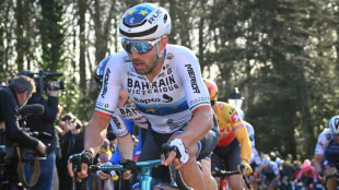 Cyclisme: Colbrelli a repris "une activité physique légère"