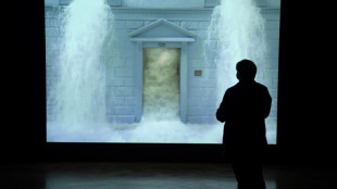 Pioneering video artist Bill Viola dies aged 73