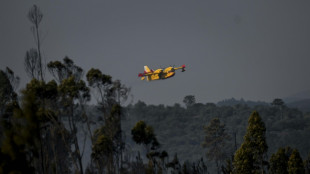 Controlados los incendios en Portugal pero la situación sigue siendo "grave"