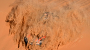 Carlos Sainz, líder virtual del Dakar a mitad de la etapa maratón