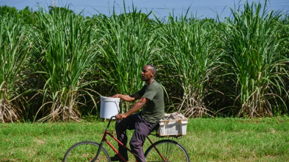 En Cuba, una cooperativa cañera se debate entre apagones y escasez de insumos