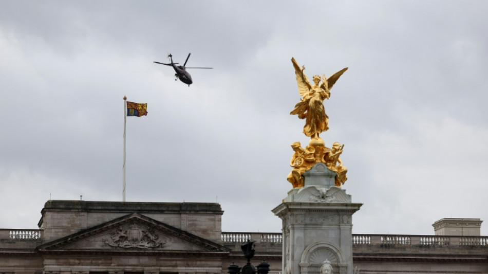 Libertad bajo fianza para conductor que chocó contra la verja de Buckingham Palace