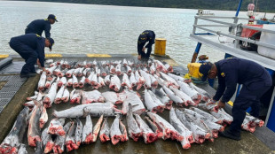 Colombia nabs over 300 tonnes of illegally caught fish in a decade