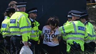 Climate activists strike at British Open