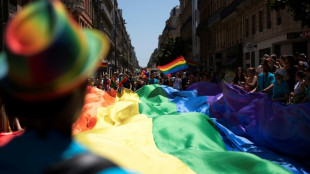 France will appoint LGBTQ ambassador to defend rights abroad 