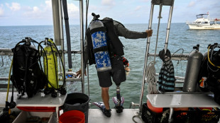 Veteranos del ejército sanan sus heridas y las de un arrecife de coral en Florida 