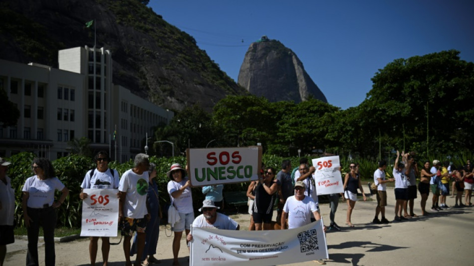 Brazil judge suspends work on Rio's Sugarloaf zip line